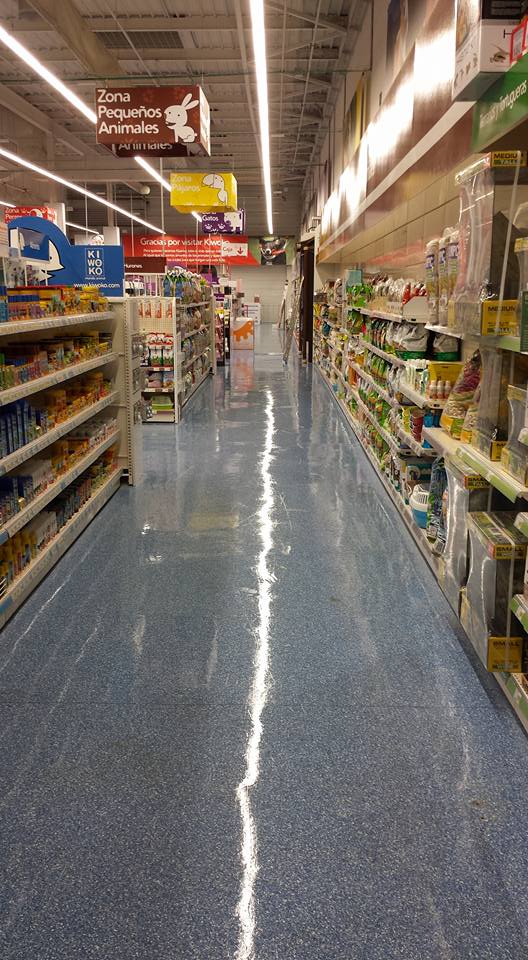 12208821_993161460725295_5306438718507395702_n