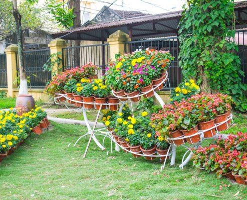 garden-721926_960_720 garden 721926 960 720