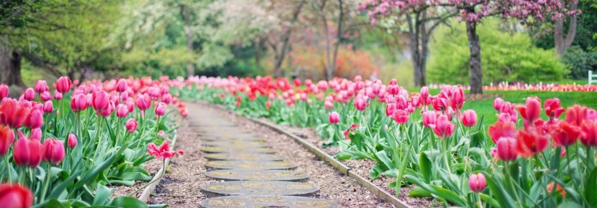 limpiezas castey limpieza y diseno de jardines