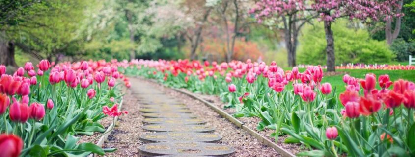 Limpieza y diseño de jardines 3 limpiezas castey limpieza y diseno de jardines