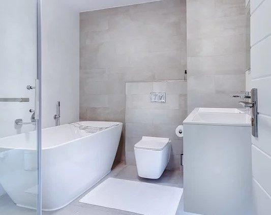 Desinfecta el baño a fondo 1 limpiezabanonoticia