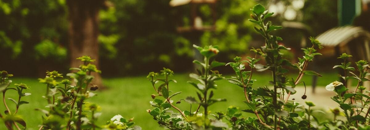 Cómo disfrutar de nuestro jardín en Cantabria 1 martin knize jjt 7mwrem4 unsplash 1 1