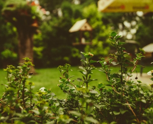 martin knize jjt 7mwrem4 unsplash 1 1