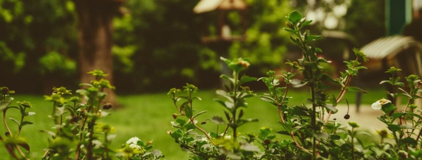 Cómo disfrutar de nuestro jardín en Cantabria 3 martin knize jjt 7mwrem4 unsplash 1 1